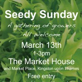 Seedy Sunday at Market House, Kingston