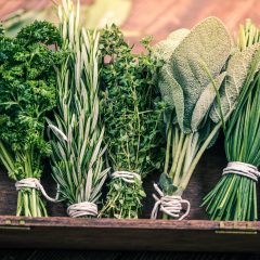 Herbs and Supplements for Brain Health