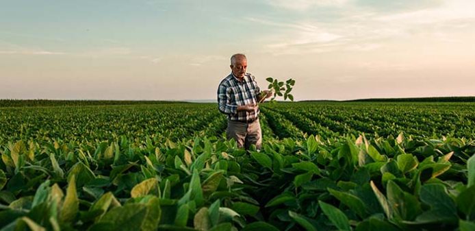 Health Benefits of Organic Food Health Benefits of Organic Food