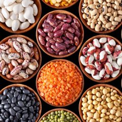 Digestible Beans Digestible Beans